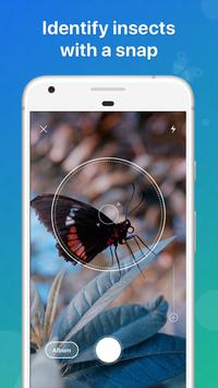 Picture Insect 海报