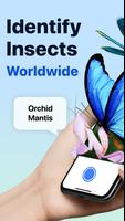 Picture Insect: Bug Identifier पोस्टर