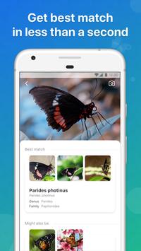 Picture Insect 截图 1