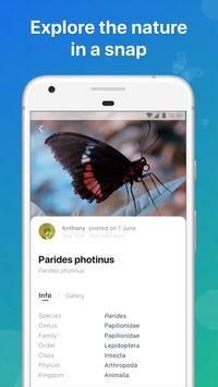 Picture Insect 截图 2