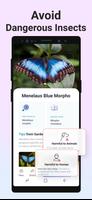 Picture Insect: Bug Identifier स्क्रीनशॉट 3