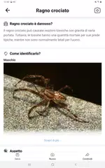 download Picture Insect - ID Insetti APK