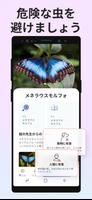 Picture Insect スクリーンショット 2