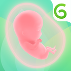 беременность трекер иконка