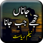 Jana Tujhe Jab Jana by Neelam -icoon