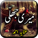 Meri Jhali by Anaya Ahmad - Urdu Novel Offline APK