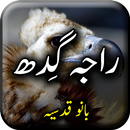 Raja Gidh by Bano Qudsia - Urd APK