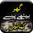 How to Earn Money - Urdu Book  APK