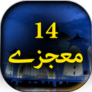 14 Mojzay - Urdu Book Offline APK