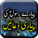 APK Pyaray Rasool Ki Pyari Duaain 