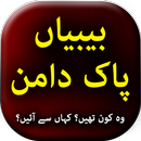 Bibyan Pak Daman - Urdu Book O APK