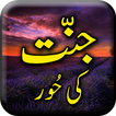 Jannat Ki Hoor - Urdu Book