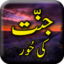 APK Jannat Ki Hoor - Urdu Book