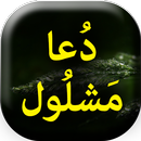 Dua Mashlool - Book Offline APK
