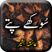 Sokhay Pattay by Ayesha Bashir APK