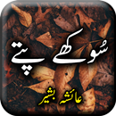 APK Sokhay Pattay by Ayesha Bashir