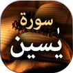 Surah Yasin - Offline