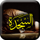 Surah Sajdah APK