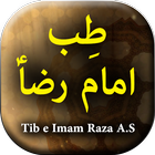 Tib E Imam Reza A.S biểu tượng