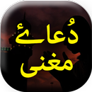 Dua e Mughani - Urdu Book Offl APK