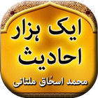 Aik Hazaar Ahadees icon