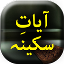 Ayate Sakina - Urdu Book Offli APK