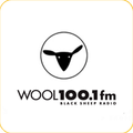 WOOL Streamer