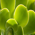 Test App Test