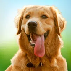 Virtual Pet Dog Sim: Dog Games APK download