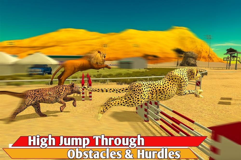 Animal race. Гонки животные. Гонки животных на компе. Игры про животные гонки. Animals Race.