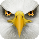 Ultimate Bird Simulator APK