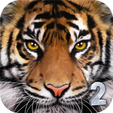 Ultimate Tiger Simulator 2 APK