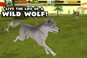 Wildlife Simulator: Wolf poster