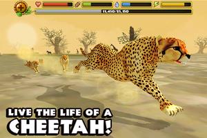 Cheetah Simulator Plakat