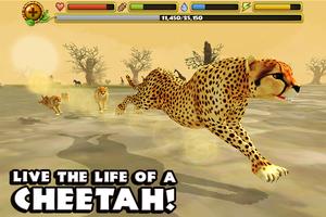 Cheetah Simulator Affiche