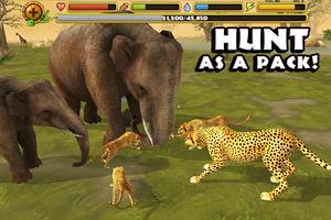 Cheetah Simulator স্ক্রিনশট 1