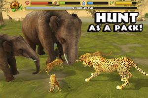 Cheetah Simulator capture d'écran 1