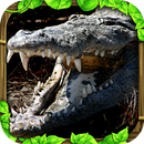 Wildlife Simulator: Crocodile APK