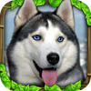 Stray Dog Simulator Mod apk son sürüm ücretsiz indir