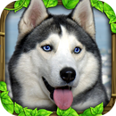 Stray Dog Simulator APK