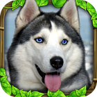 Stray Dog Simulator ícone