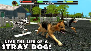 Stray Dog Simulator Poster