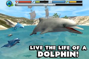 Dolphin Simulator الملصق