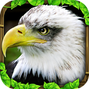 Eagle Simulator™ APK