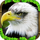 Eagle Simulator™ أيقونة