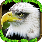 Eagle Simulator™ icône