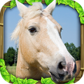 Wild Horse Simulator