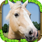 Wild Horse Simulator icône