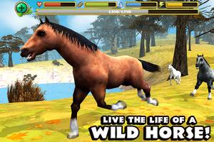 Wild Horse Simulator Affiche