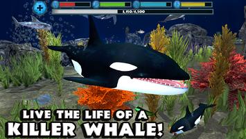 Orca Simulator-poster